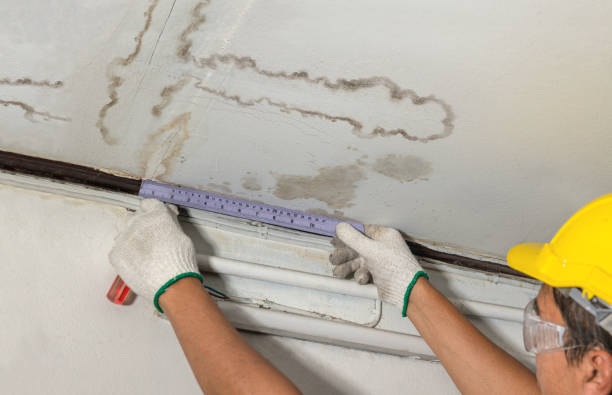 Reliable Water Damage contractor in Delmont, SD by Water Damage Irwin